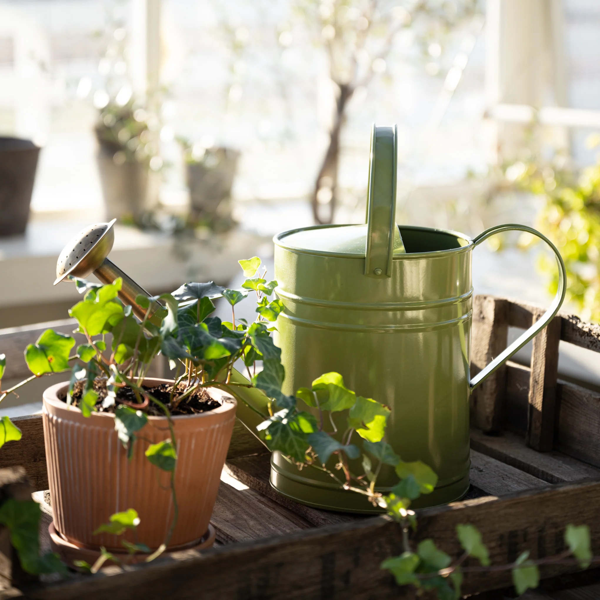 Magnolia Green Enamel Watering Can - Image 3